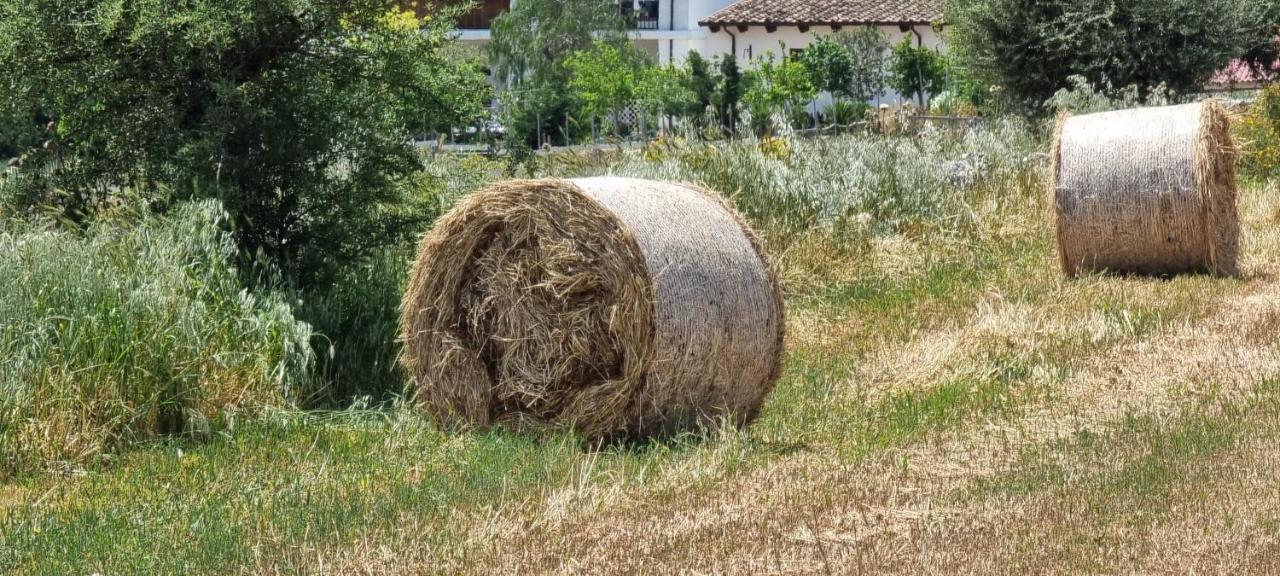 Masseria Milu' Siponto Eksteriør bilde